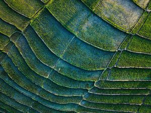 Imagem de tecidos sustentáveis em diferentes texturas e cores, representando a tendência crescente da moda sustentável. Ideal para destacar práticas ecológicas e o compromisso com o meio ambiente na indústria da moda.